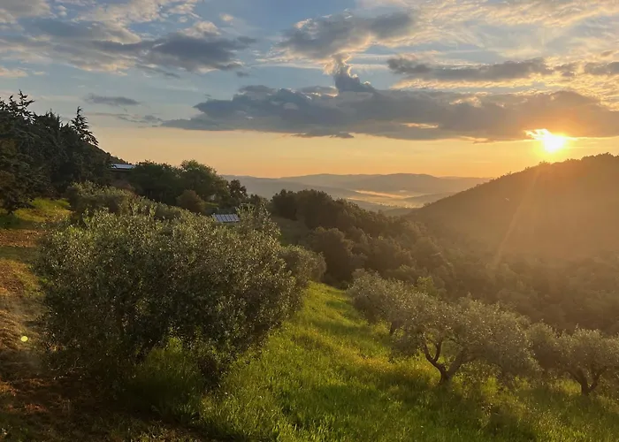 Poggio Ferrone * Suvereto